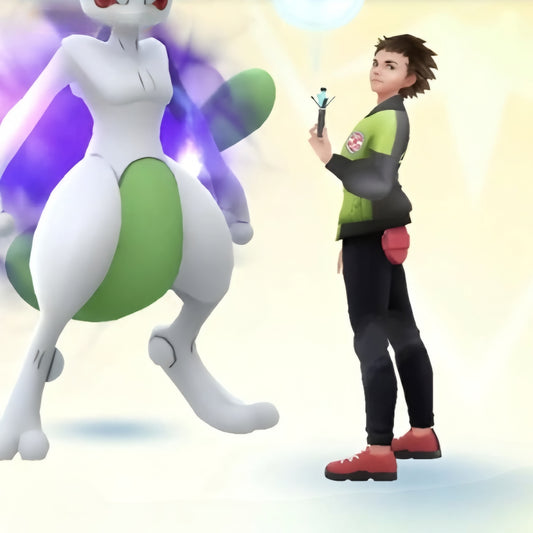 1709 Poke | 70 Level