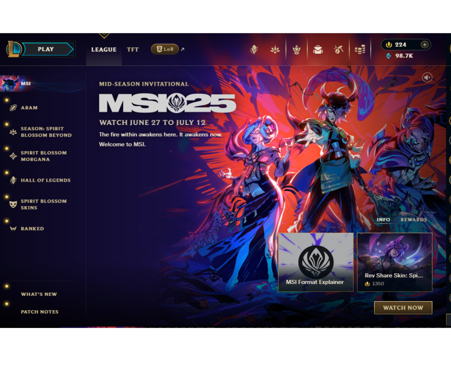 NA | 425 Skins | 165 Champions